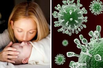 Переносчики коронавируса: кого следует опасаться