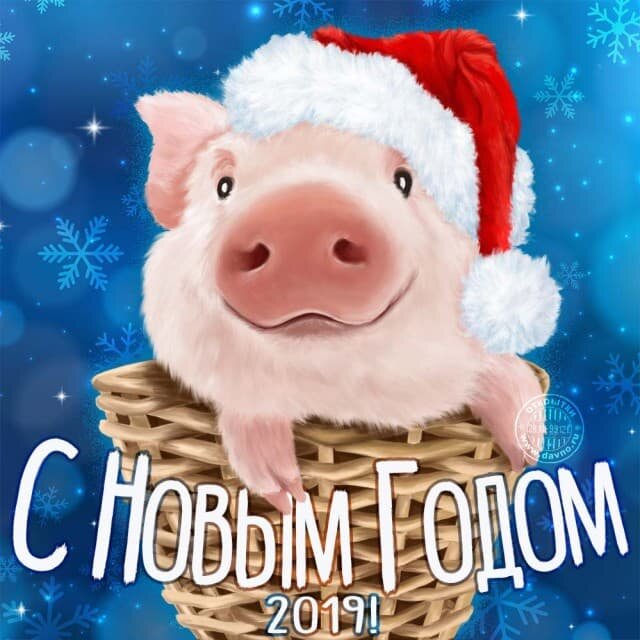 Поздравления с Новым годом 2019: поздравления со свинками, лучшие пожелание в стихах 