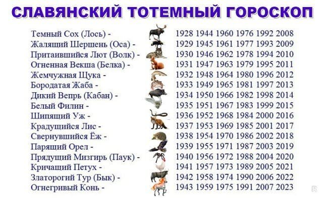 2019 будет год парящего орла по славянскому календарю. Славянский тотемный гороскоп. Чего ждать? 