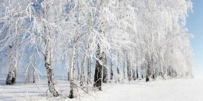 Прогноз погоды на январь 2019 в России: какая погода будет в январе в России 