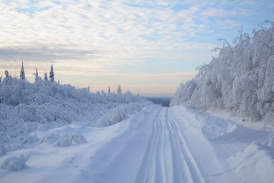 Прогноз погоды на всю зиму 2019 года в России 