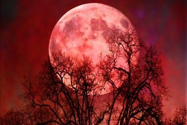 Лунное затмение и полнолуние 21 января 2019 года: что можно и что нельзя делать в этот день