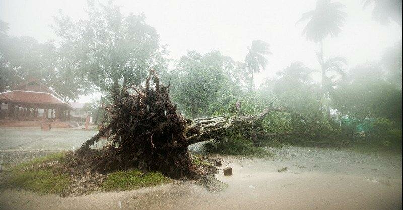 Тайфун Пабук в Таиланде: последствия, куда движется сейчас тайфун Пабук, сколько погибших 