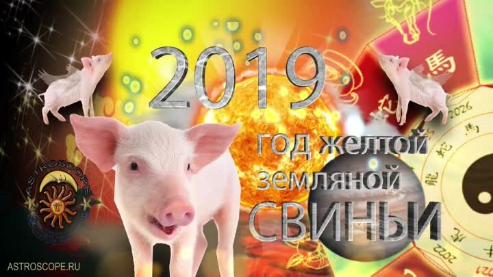 Когда начинается год Свиньи в 2019 году по восточному календарю: описание 2019 год, характеристика 