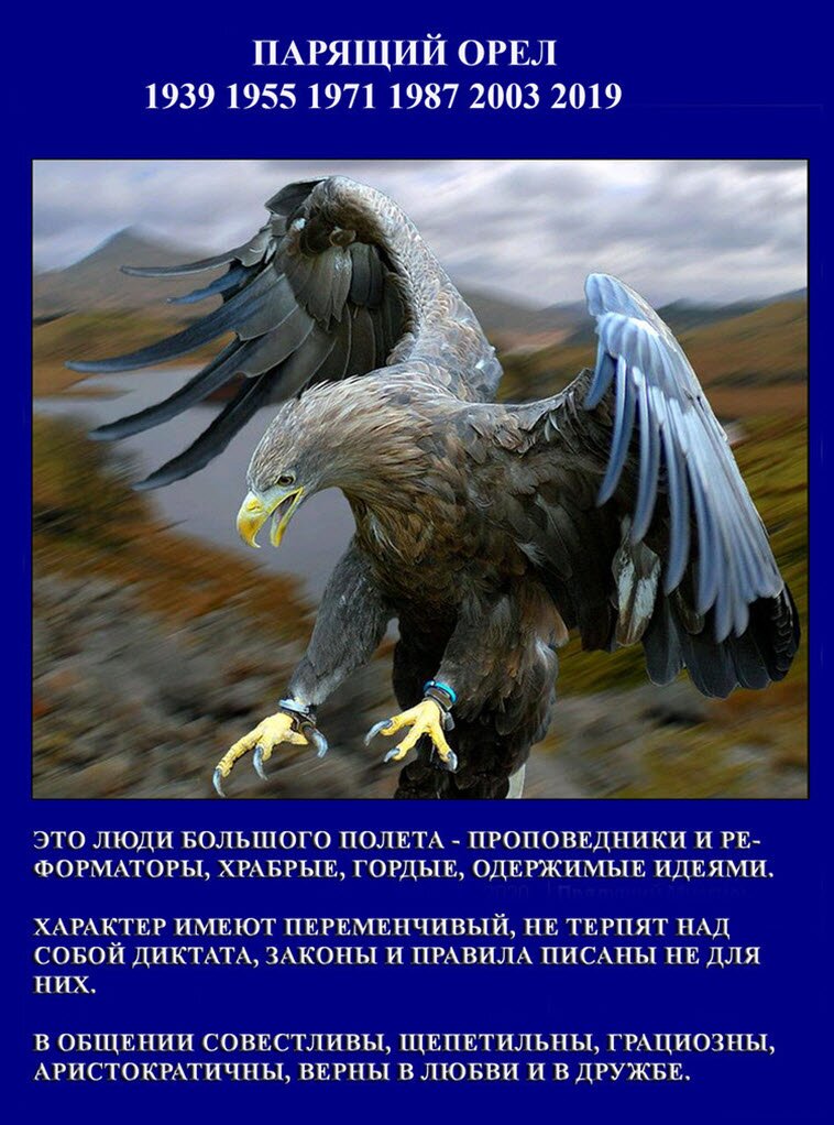 Год кого 2019 по календарю славян: Новый год по славянскому календарю какого животного, характеристика 