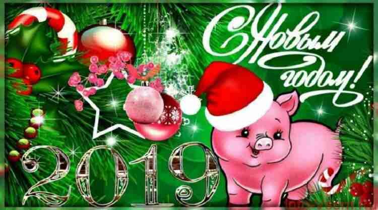 Когда наступает год Свиньи по Китайскому календарю 2019 